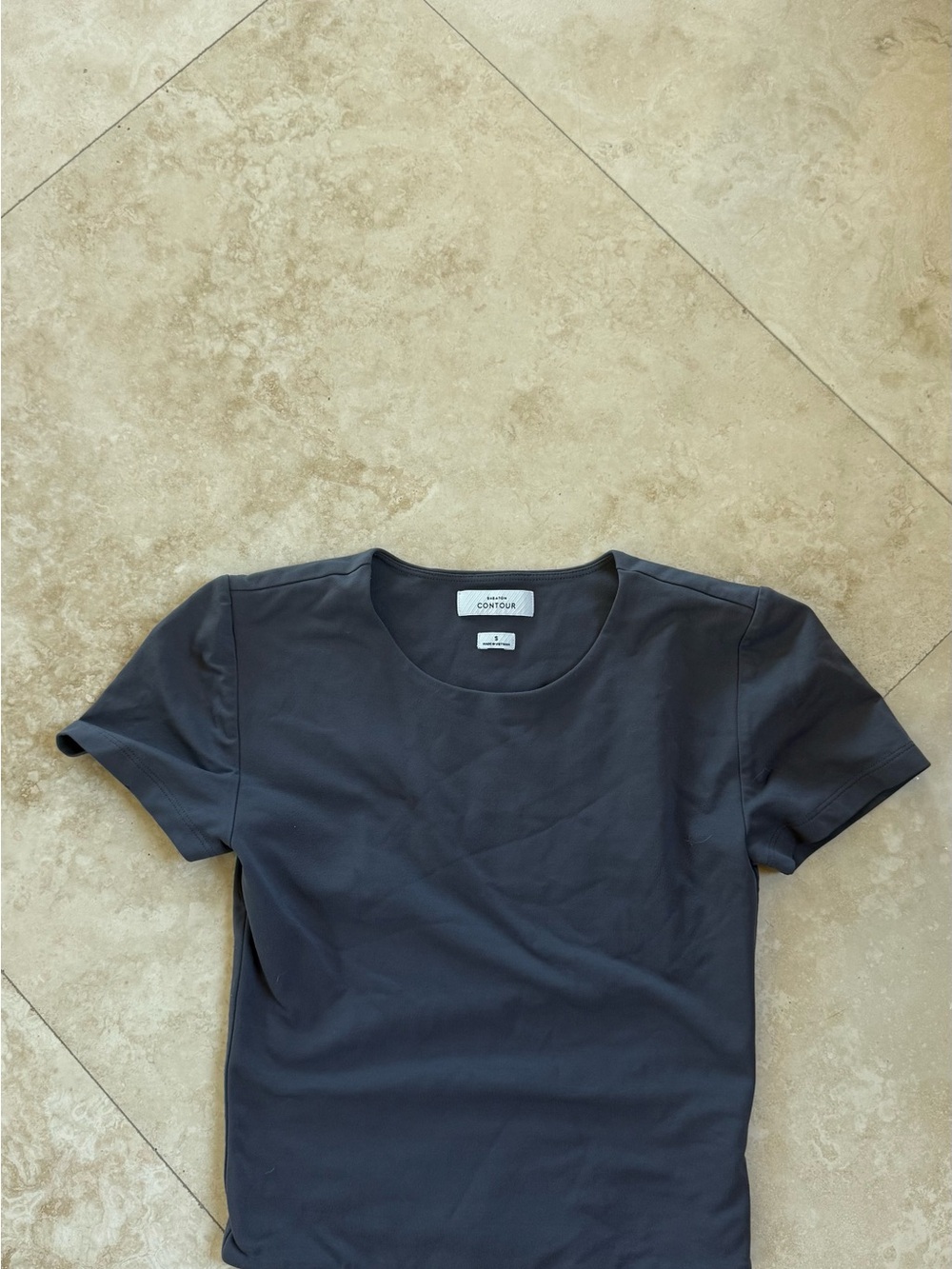 Aritzia Babaton short sleeve top dark grey